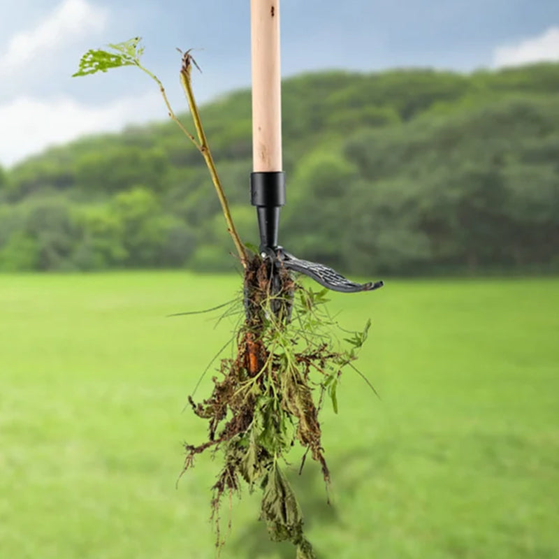 WORKPRO Estirpatore Erbacce Manuale 2 Pezzi, sarchiatore per erbacce con bordo seghettato, estirpatore erbacce da giardino per rimuovere muschio ed erbacce
