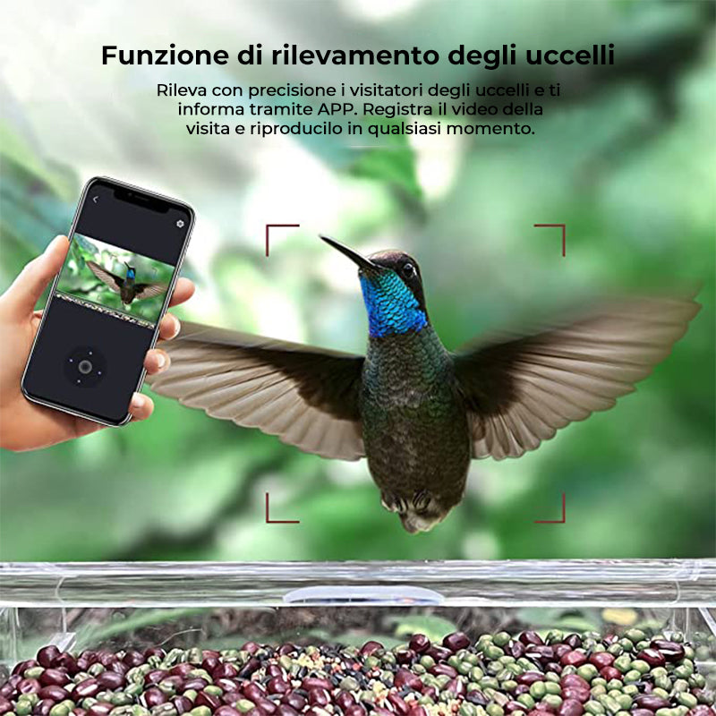 🐦Mangiatoia intelligente per uccelli con fotocamera