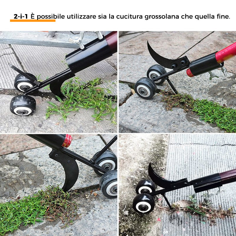 Erba pazza predone