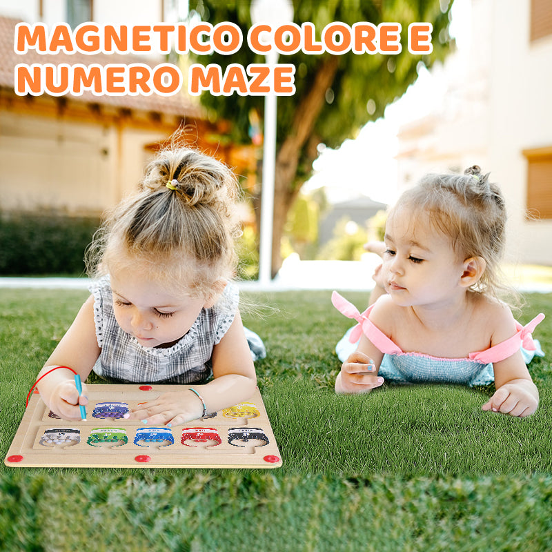 🔥vendita calda🔥Labirinto magnetico di colori e numeri