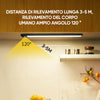 ✨Luce a induzione magnetica (2 pezzi)