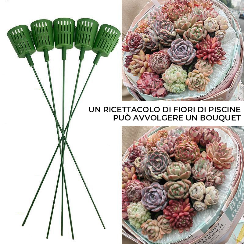 Bouquet speciale per piante grasse