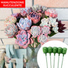 Bouquet speciale per piante grasse