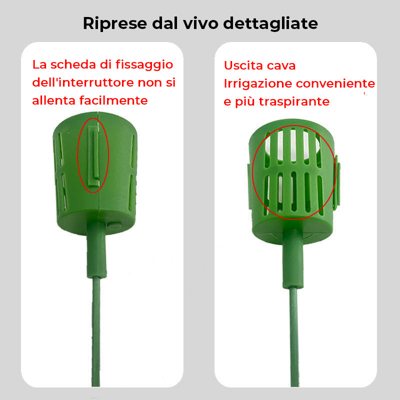 Bouquet speciale per piante grasse