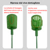 Bouquet speciale per piante grasse