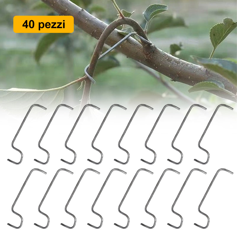 🍎Divaricatore per rami di alberi da frutto (40 pezzi)