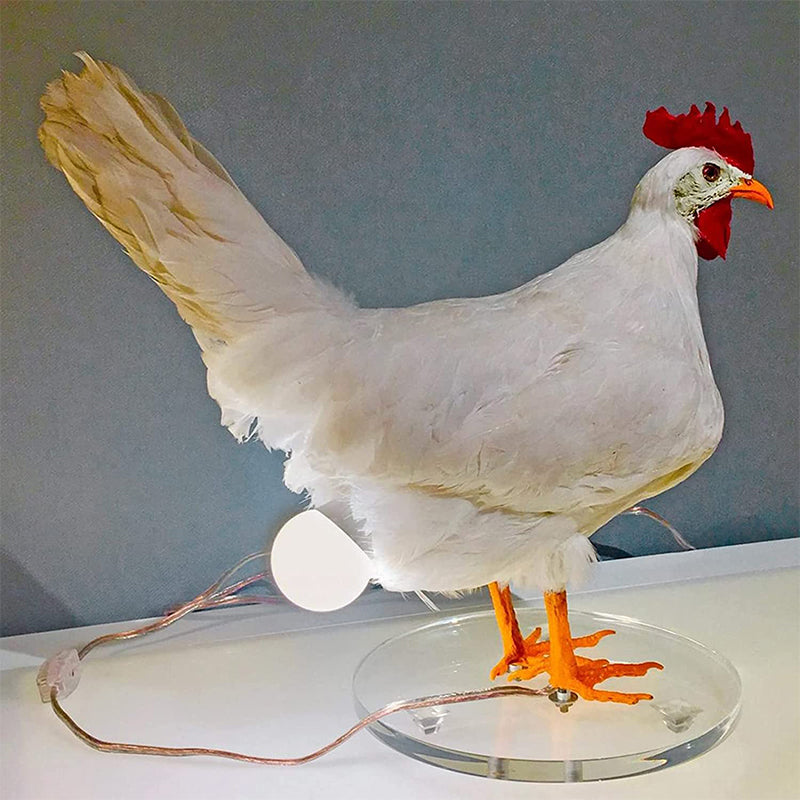 Lampada a uovo