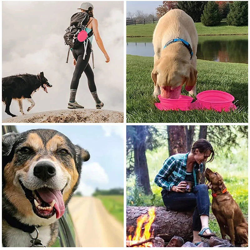 Set Da Pranzo Per Cani Da Viaggio Pawfun