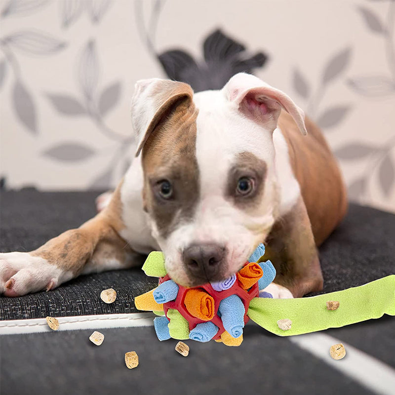 giocattoli da masticare per cani