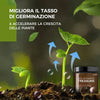 Tesoro attivato dal suolo