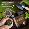 Tesoro attivato dal suolo