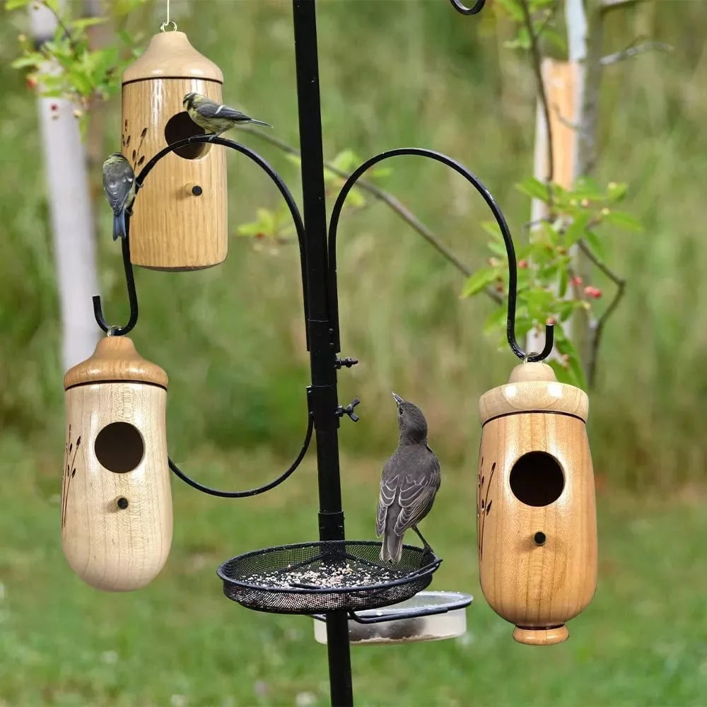 🐦casa di colibrì in legno