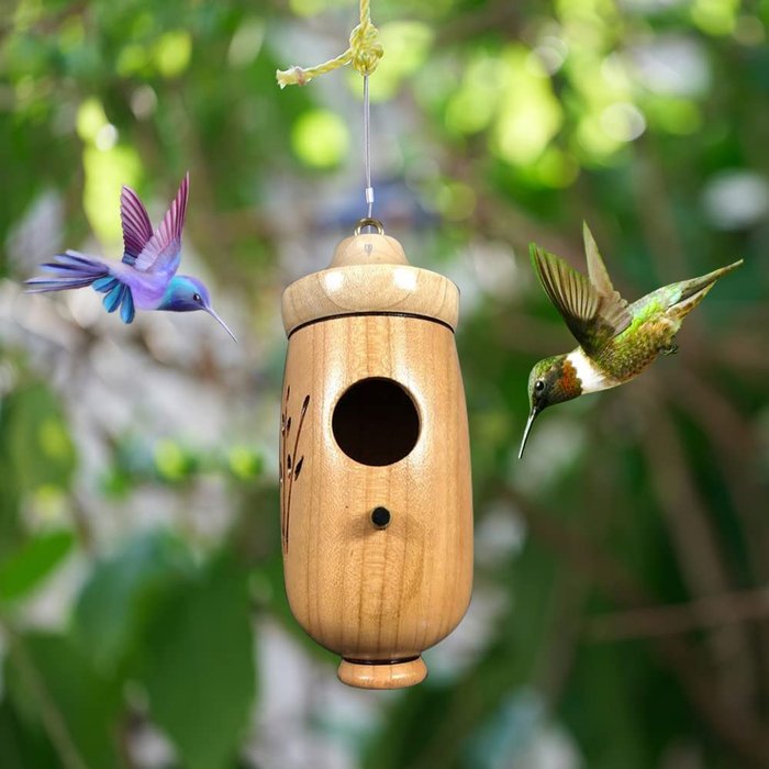 🐦casa di colibrì in legno