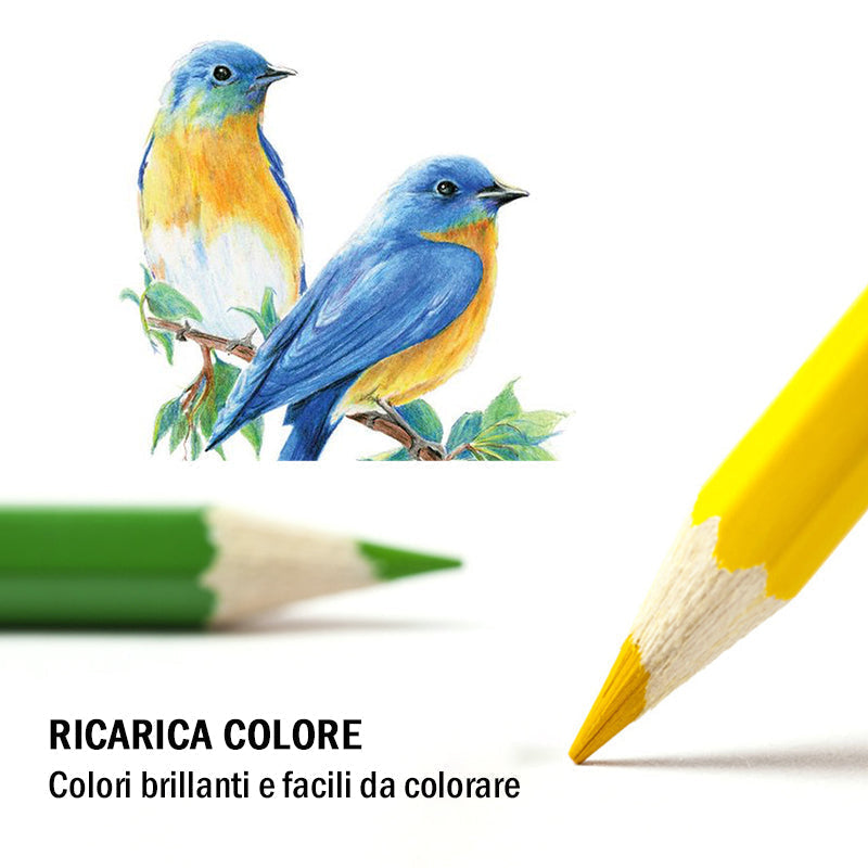 🌈Set di matite colorate portatili