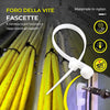 Fascette Con Foro Per Vite