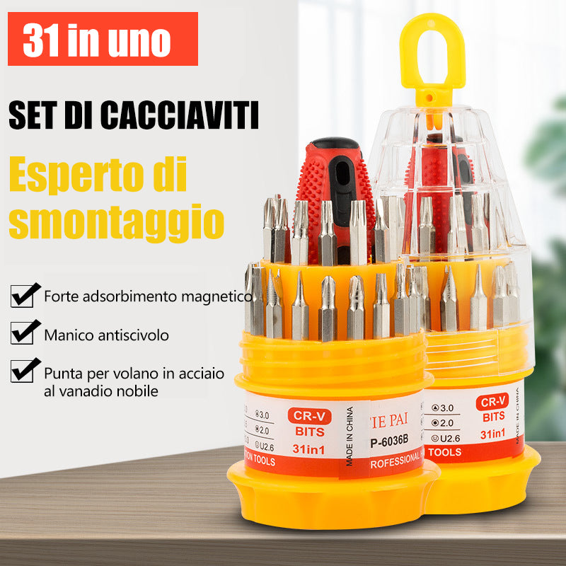 Set di cacciaviti  31 in 1