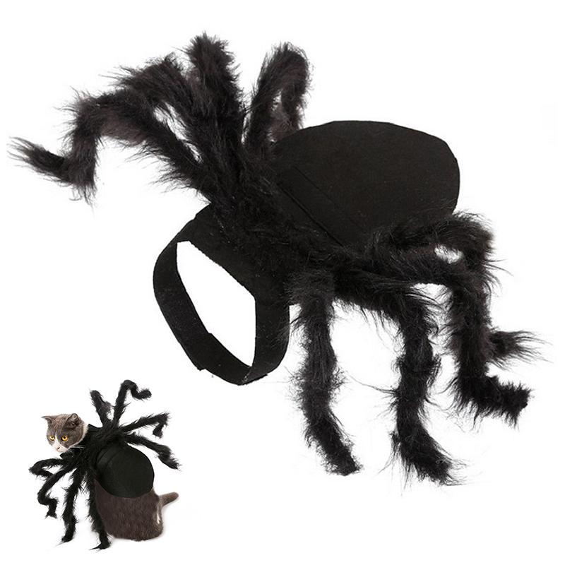 Costume ragno per animali domestici
