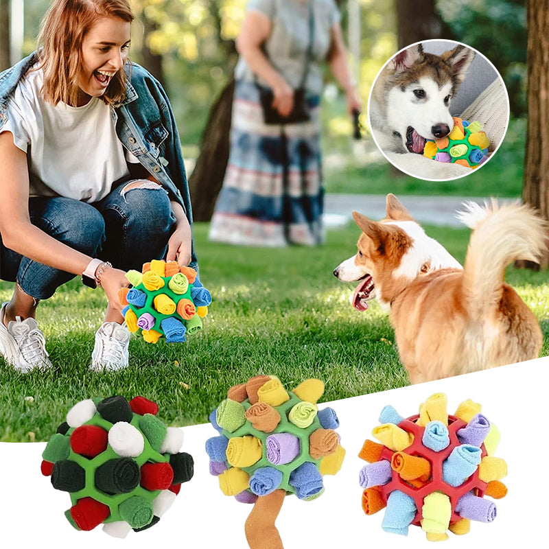 giocattoli da masticare per cani