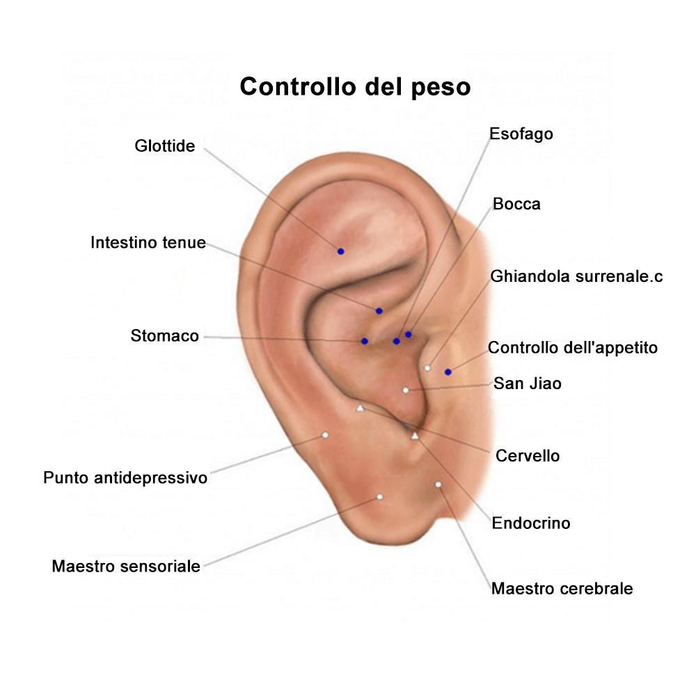Orecchini magnete digitopressione(un paio) - oseletti