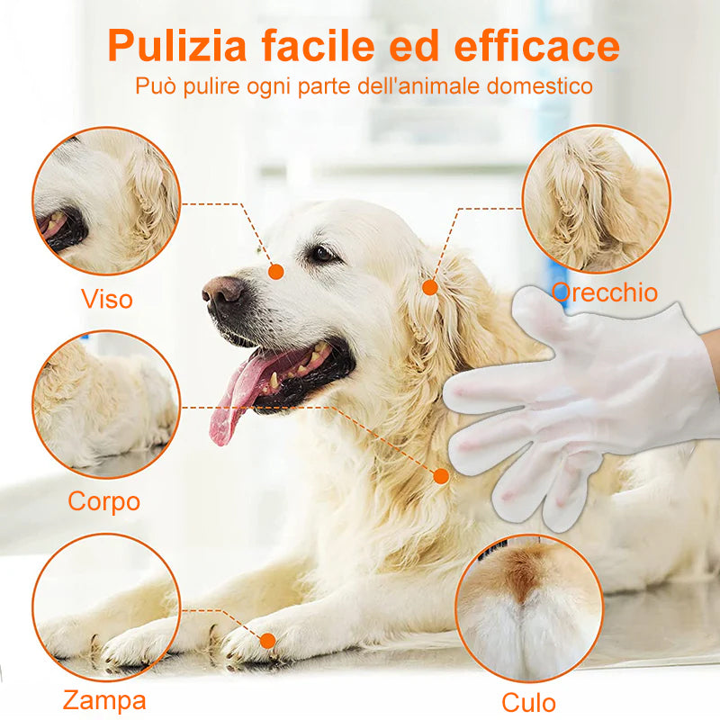 Guanti senza lavaggio per animali domestici