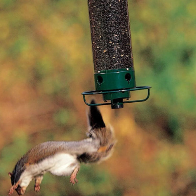 🐦Mangiatoia per uccelli a prova di scoiattolo