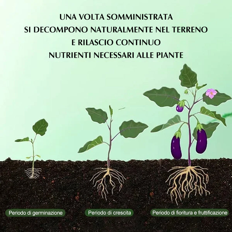 Compresse fertilizzanti universali da giardino a rilascio lento