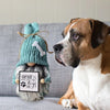 Decorazioni per la casa di Gnomi amante dei cani