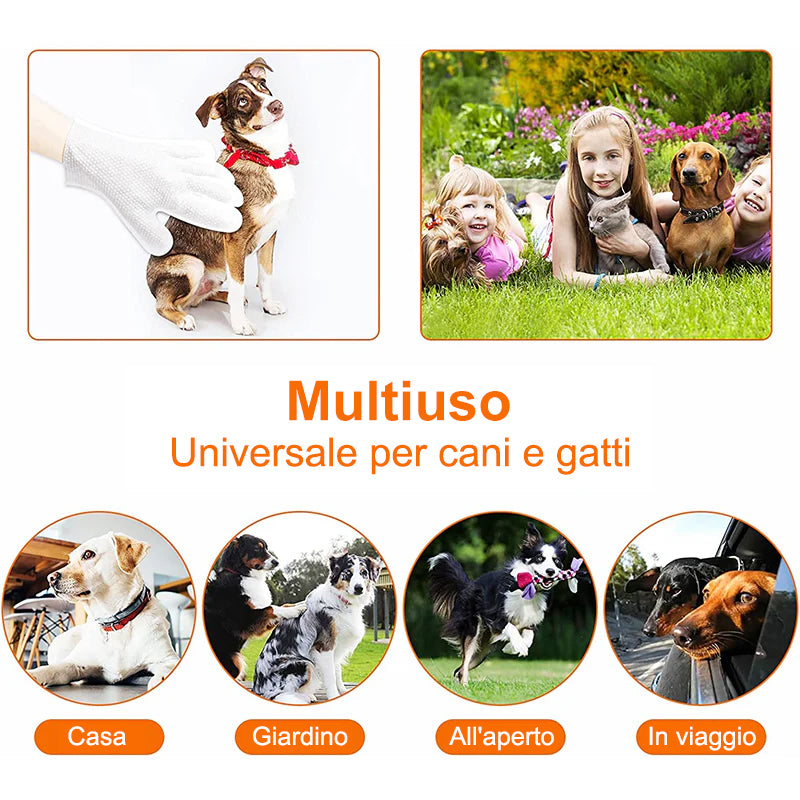 Guanti senza lavaggio per animali domestici