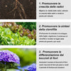 Compresse fertilizzanti universali da giardino a rilascio lento