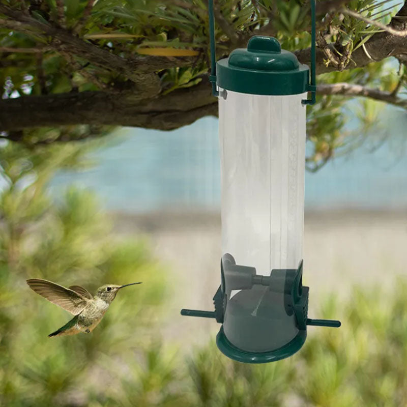 🐦Mangiatoia per uccelli a prova di scoiattolo