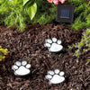 Luce solare da giardino con artiglio d'orso