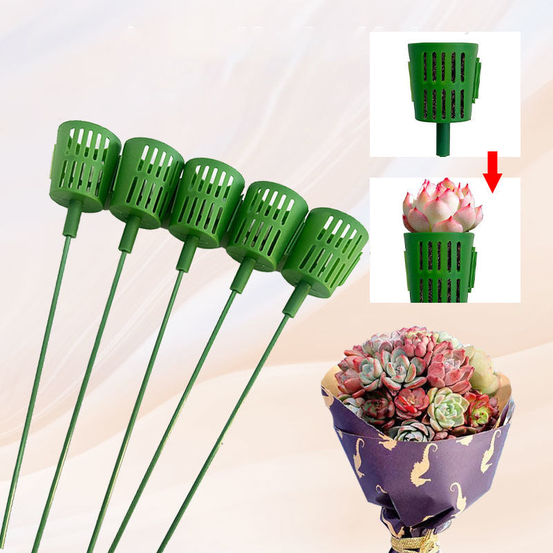 Bouquet speciale per piante grasse