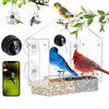 🐦Mangiatoia intelligente per uccelli con fotocamera