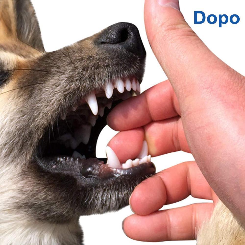 Spazzolino da denti autopulente per cani